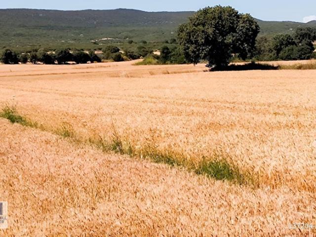 Küçükanafarta Köyü, Eceabat içerisinde satılık Arsa
