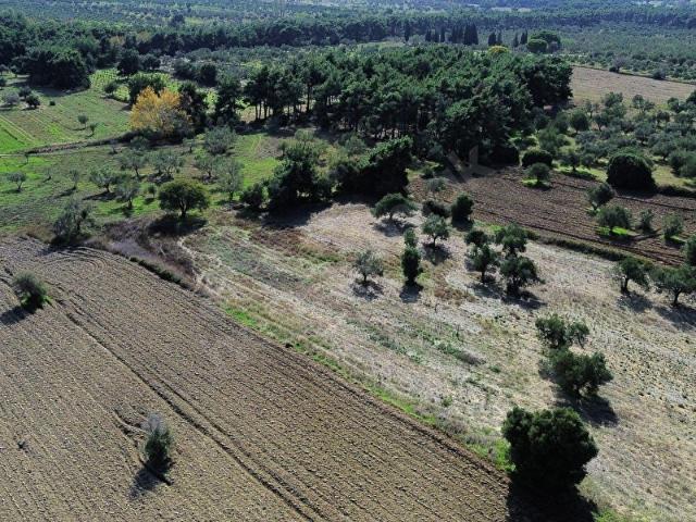 Seddülbahir Köyü, Eceabat içerisinde satılık Arsa