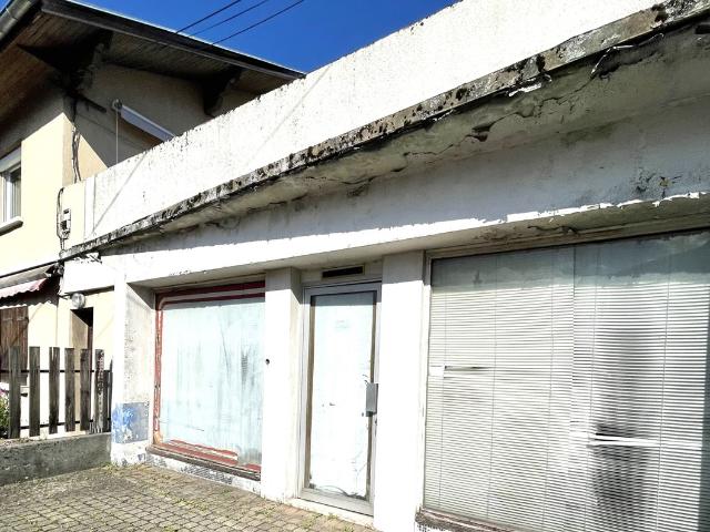 Maison vente à Grenoble, Echirolles