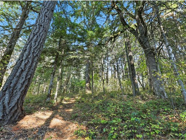 Land for sale in White Salmon, Washington