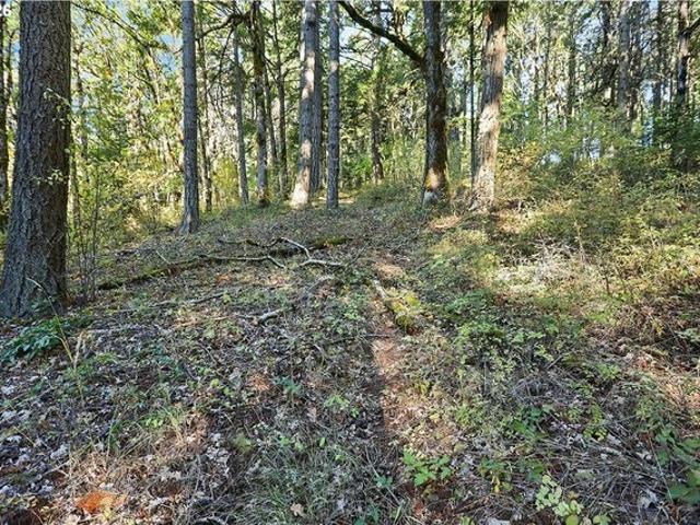 Land for sale in White Salmon, Washington