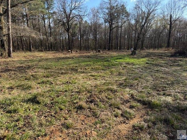 Land for sale in Hooks, Texas