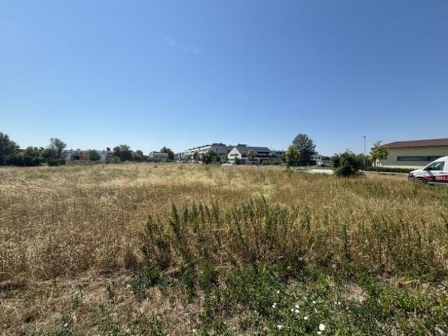 Grundstück kaufen in Neusiedl am See, Burgenland