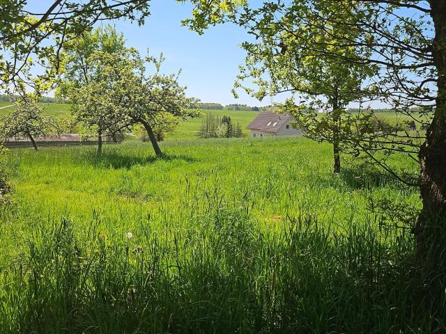 Erdgeschosswohnung kaufen in Busenhausen, Rheinland-Pfalz
