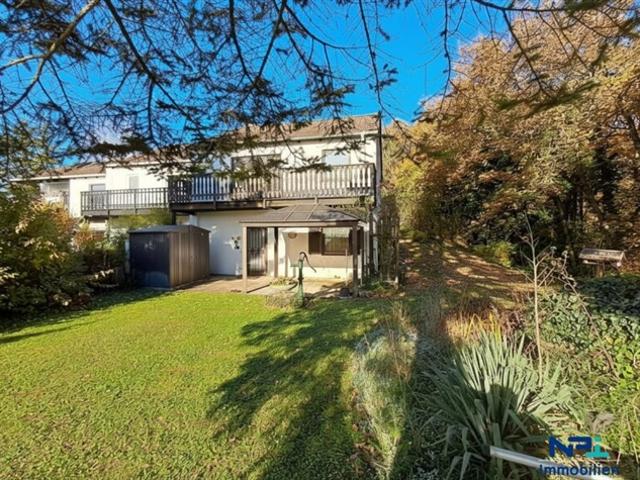 Einfamilienhaus kaufen in Breitenbrunn am Neusiedler See, Burgenland