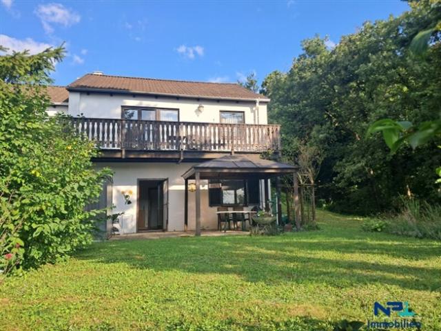 Einfamilienhaus kaufen in Breitenbrunn am Neusiedler See, Burgenland