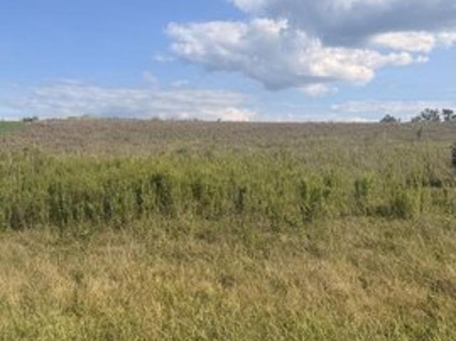 Land for sale in Bloomsburg, Pennsylvania