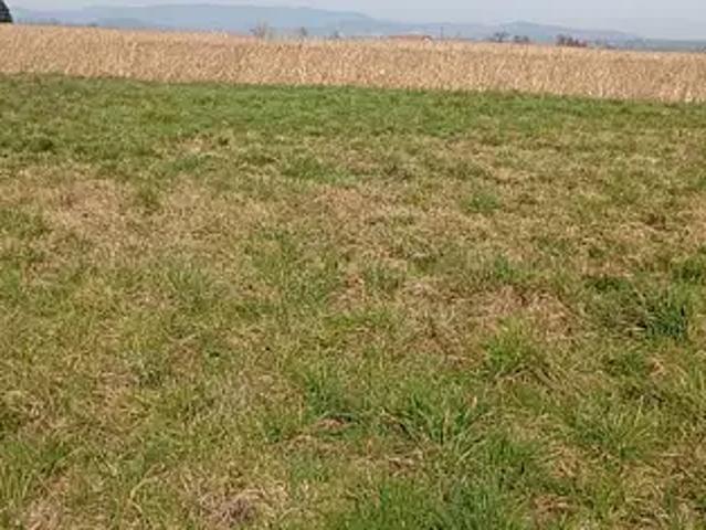 Terrain vente à Tournon-sur-Rhône, Eclassan