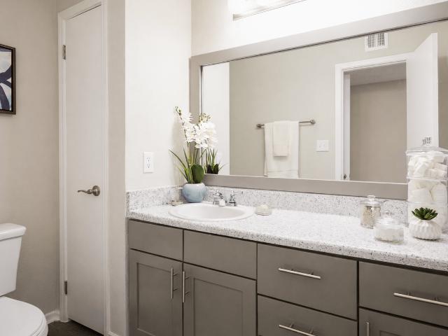 Apartment for rent in Duluth, Georgia