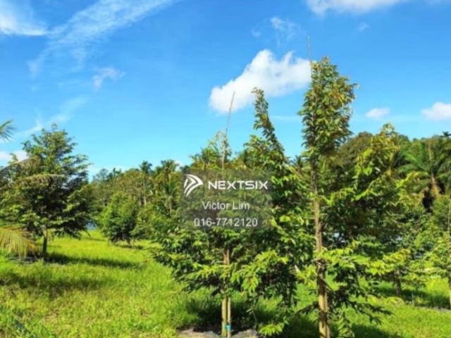 Residential House for sale in Bukit Ledang, Johor