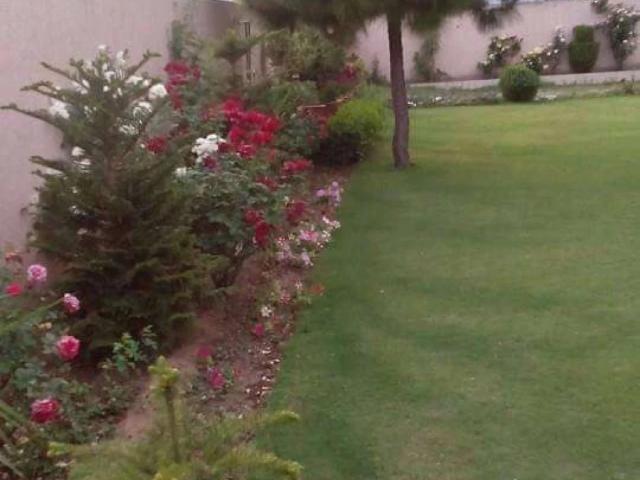 Commercial for sale in Islamabad