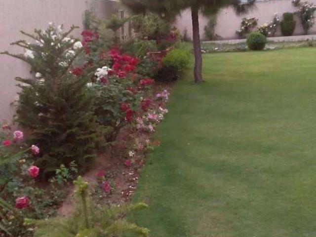 Commercial for sale in Islamabad