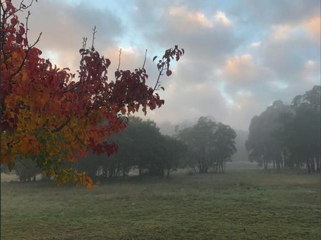 House for rent in Lake Bathurst, New South Wales