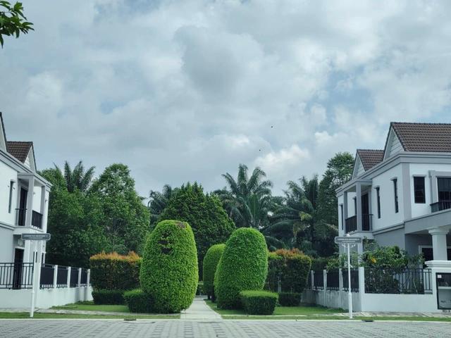 Terraced House for sale in Wellesley, Penang