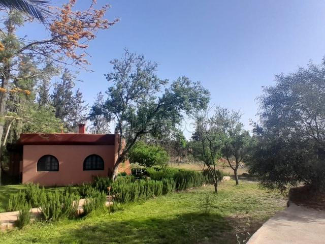 Ferme vente à Gharb-Chrarda-Beni Hssen