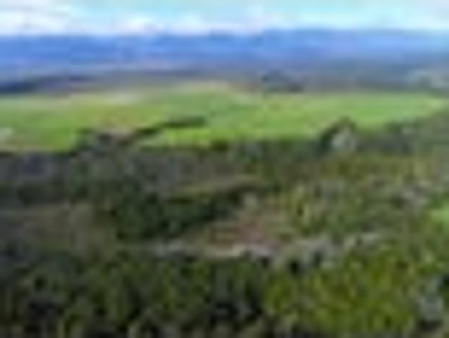 Land for sale in West Coast
