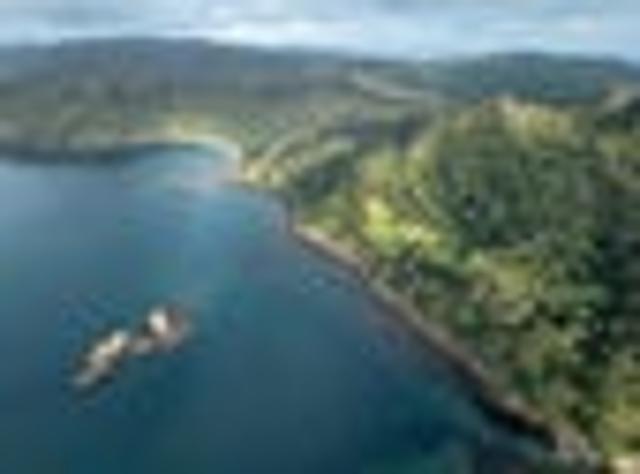 Land for sale in Waikato