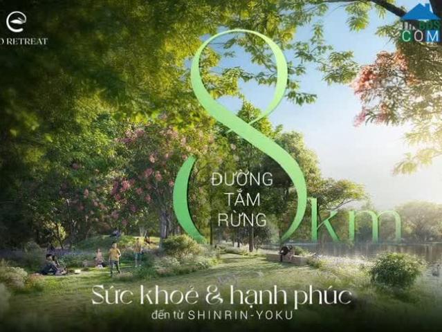 Nhà mặt phố bán