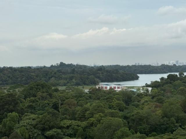 Condominium for rent