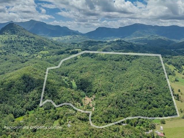 Land for sale in Zara, New South Wales