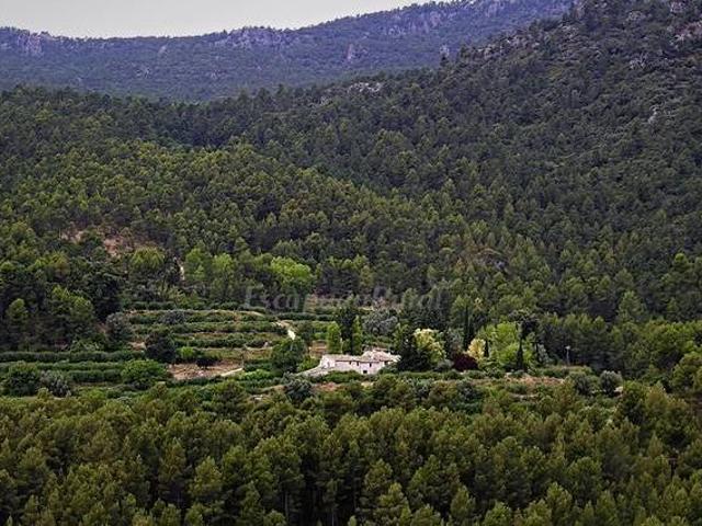 Casa en alquiler en Noroeste, Murcia