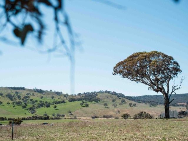 Land for sale in Sutton, New South Wales