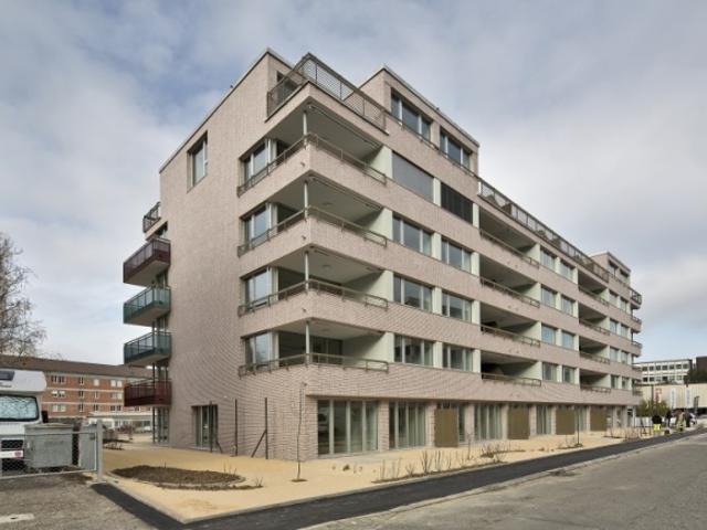 Attikawohnung mieten in Einigen, Zürich