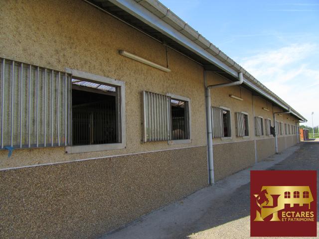 Ferme vente à Lille