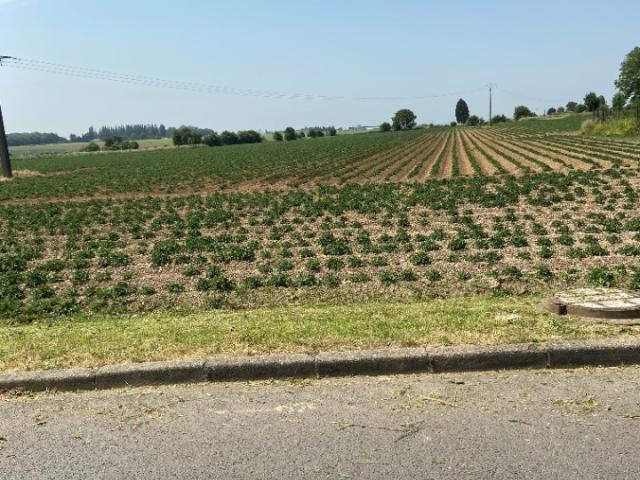 Terrain vente à Arras, Ecurie