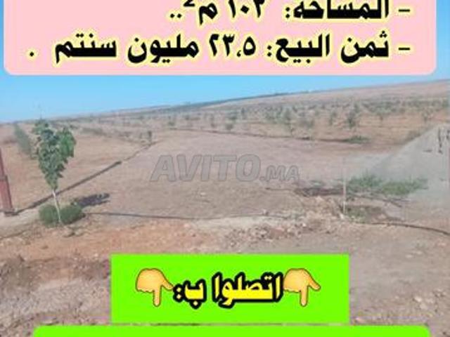 Propriété vente à Mellal