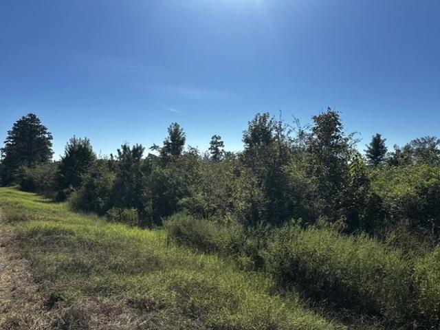 Land for sale in Pansey, Houston County