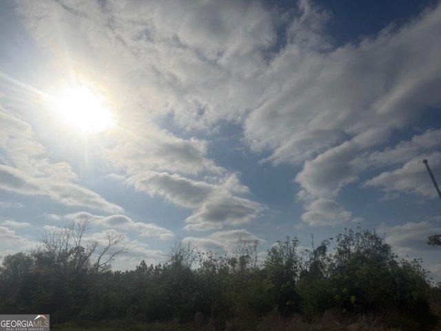 Land for sale in Lumber City, Georgia
