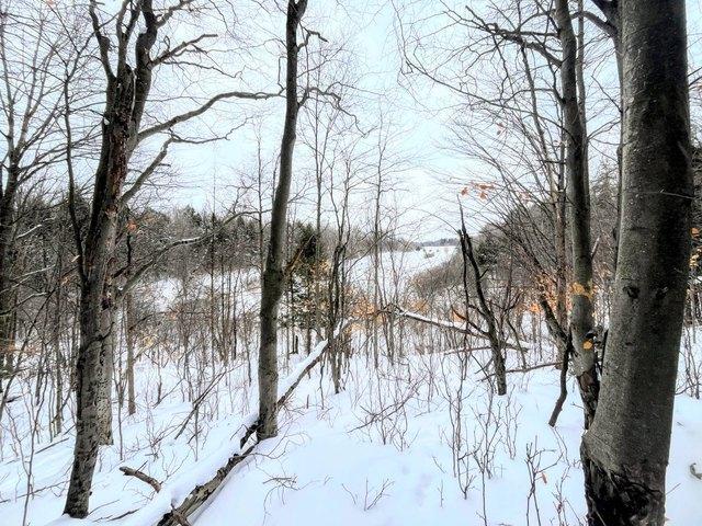 Land for sale in Canton, New York