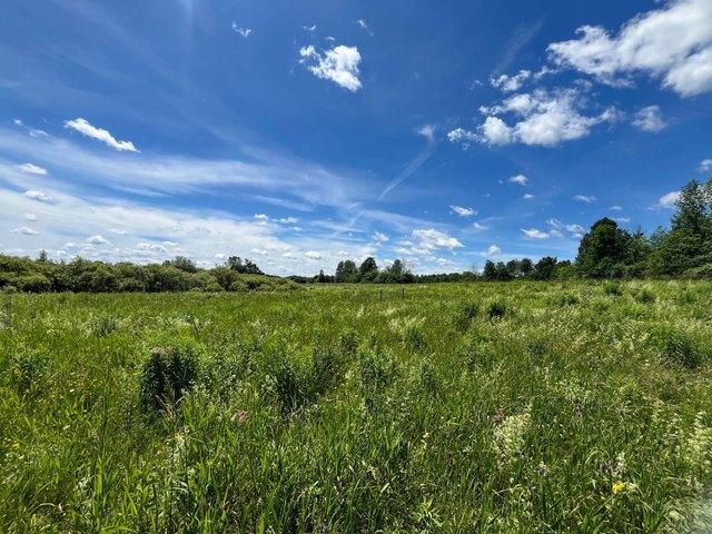 Land for sale in Canton, New York