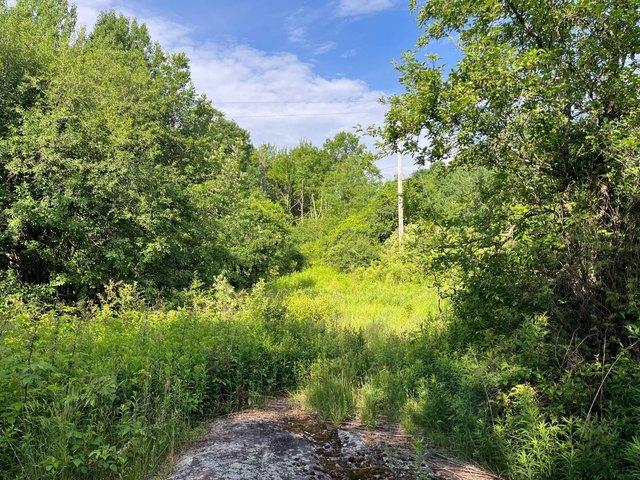 Land for sale in Canton, New York