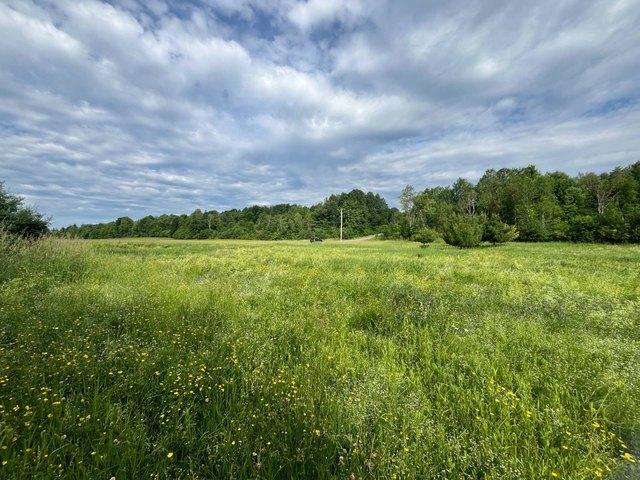 Land for sale in Canton, New York