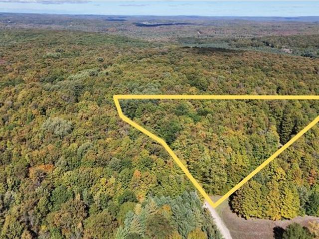 Land for sale in Bellaire, Antrim County
