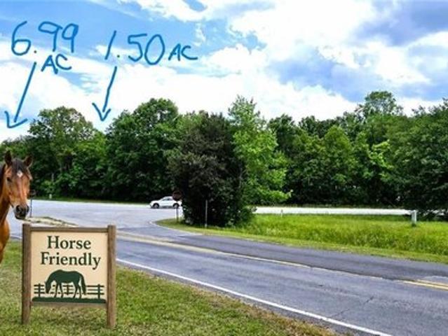 Land for sale in Stoneville, North Carolina