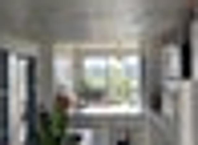 Apartment for rent in Newton, Auckland