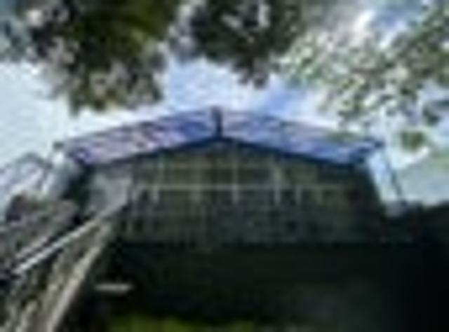 House for rent in Newton, Auckland