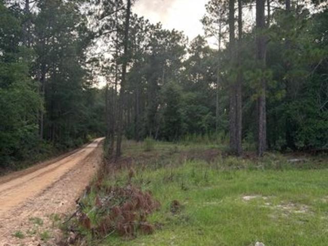 Land for sale in Twin City, Georgia