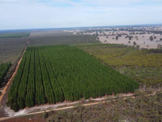 Land for rent in Edenhope, Victoria