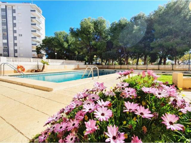 Piso en alquiler en Miramar, Platja de Miramar