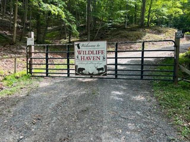 Land for sale in Upper Tract, West Virginia