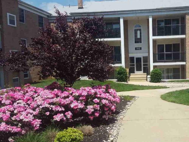 Apartment for rent in Delaware