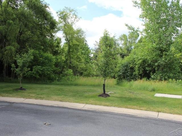 Land for sale in Carrollton, Michigan