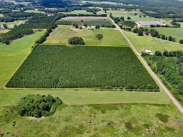 Land for sale in Clayton, Alabama
