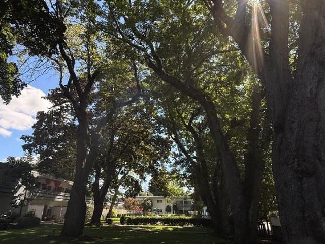 Apartment for rent in Oregonia