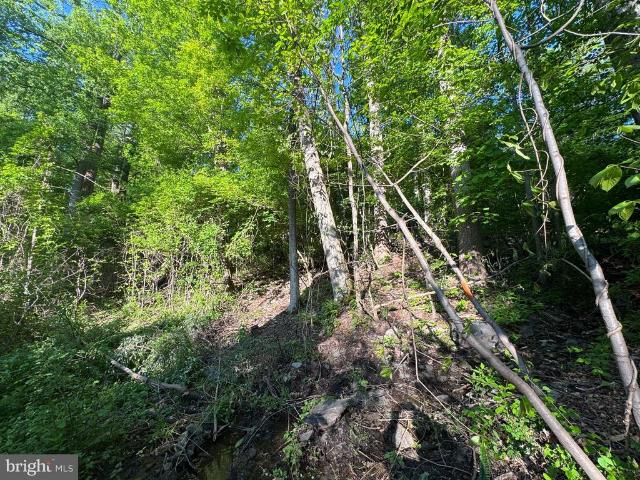 Land for sale in Braddock Heights, Maryland