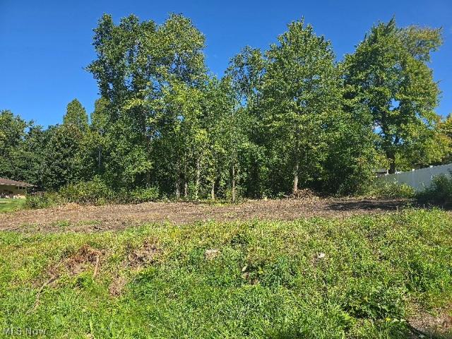 Land for sale in Broadview Heights, Cuyahoga County